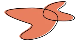 Organizing & Decluttering